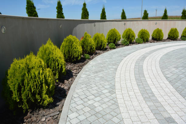 Best Professional Driveway Pavers  in Mineola, TX